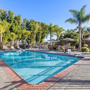 Best Western University Inn Santa Clara